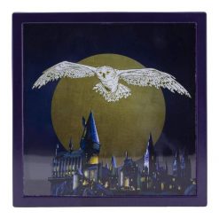 Friki Locura Hucha Harry Potter Efecto 3D Hedwig sin caja