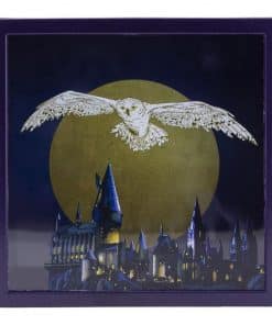 Friki Locura Hucha Harry Potter Efecto 3D Hedwig sin caja